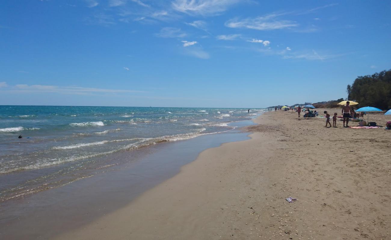 Photo of Playa de Torrenostra with brown sand surface