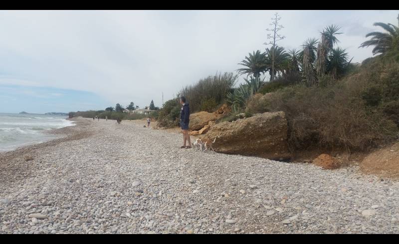 Photo of Canina D'Aiguaoliva with gray pebble surface