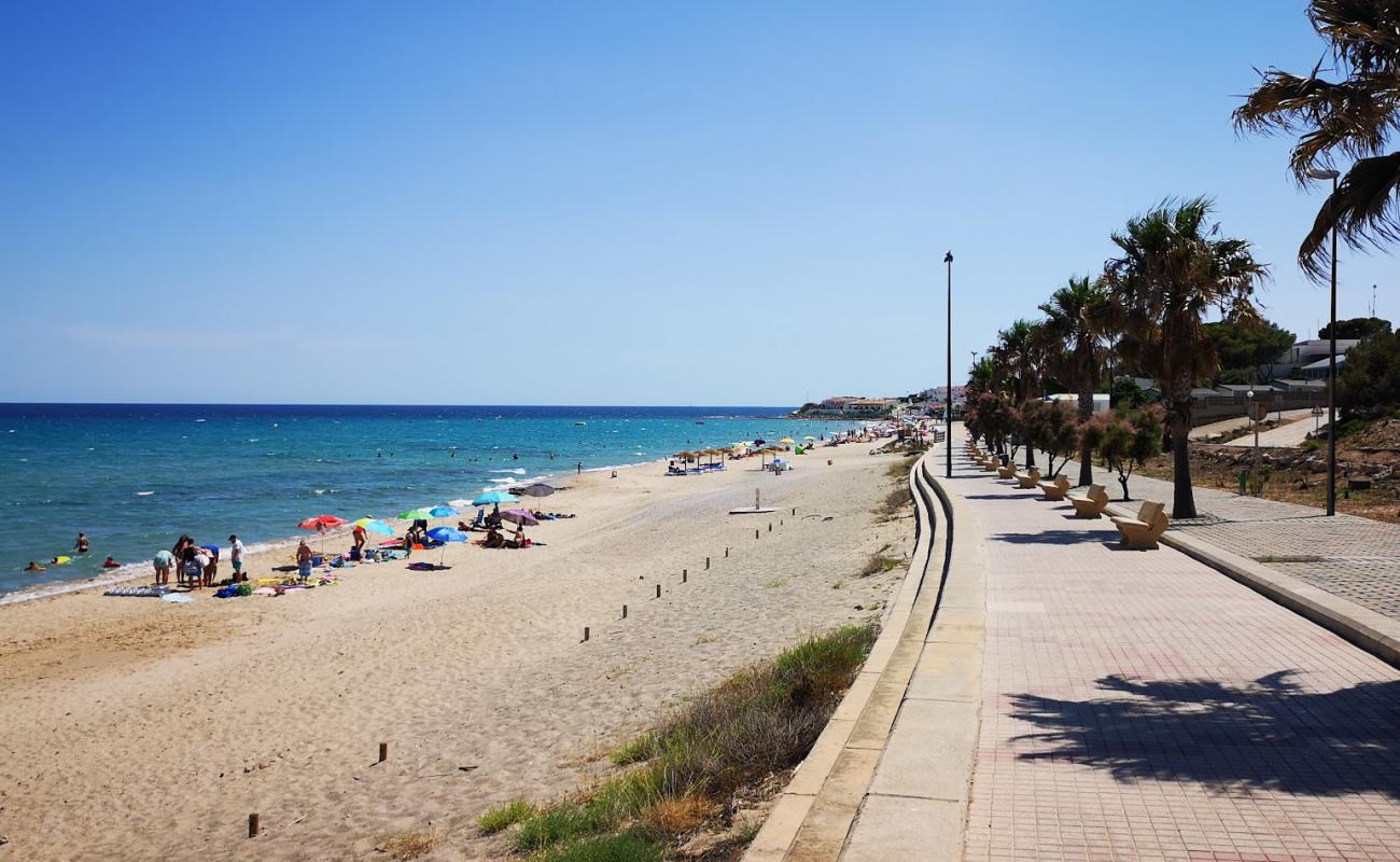 Photo of Almadrava Beach wild area