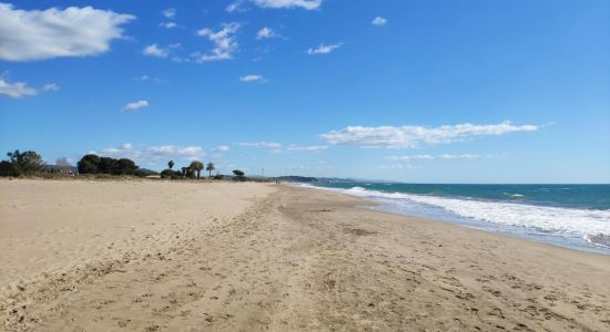 Playa Torredembarra