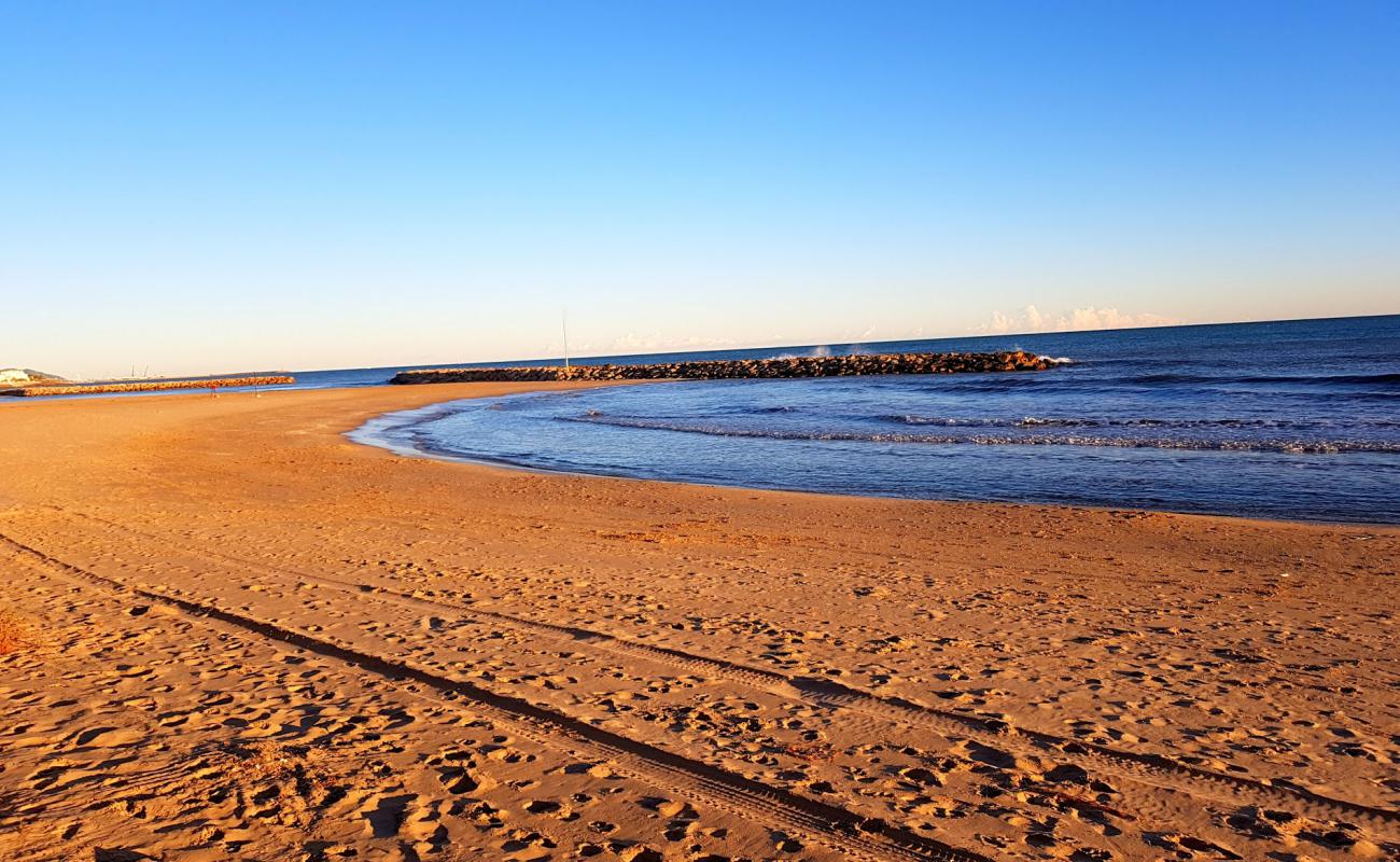 Photo of Platja Ibersol with brown sand surface