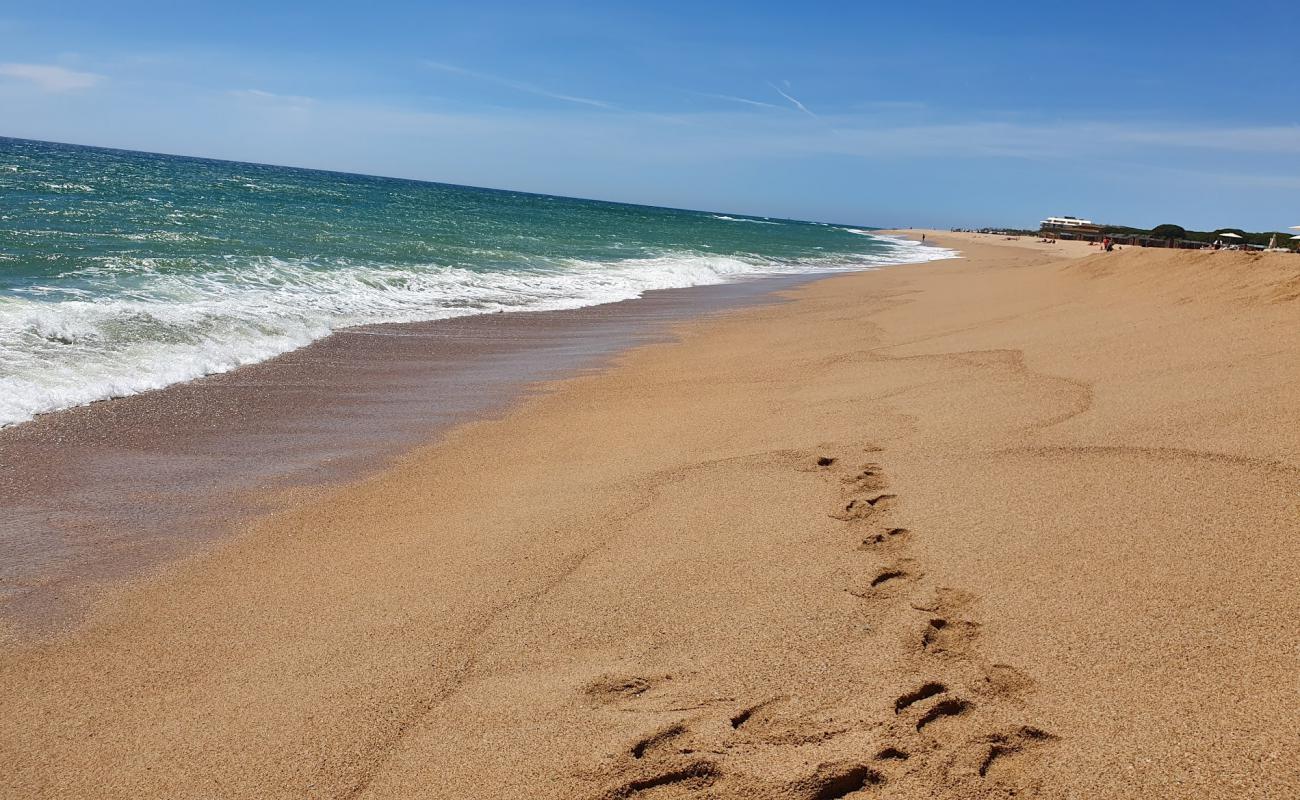 Photo of Platja De Llevant with bright sand surface