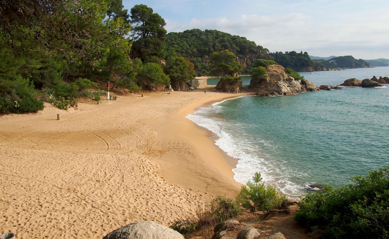 Photo of Cala Treumal beach with bright fine sand surface