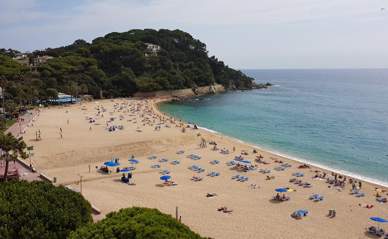 Photo of Platja de Fenals with bright fine sand surface