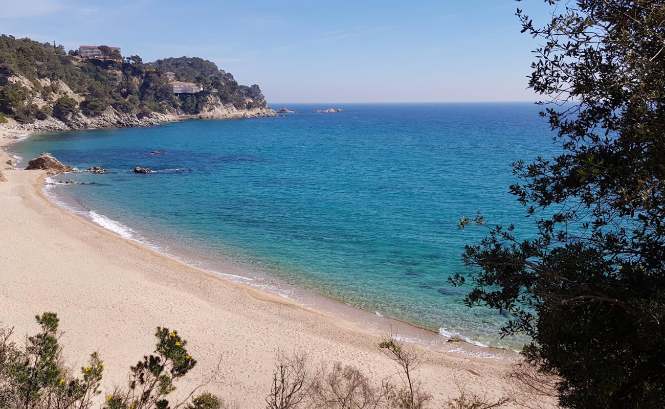 Photo of Santa Maria de Llorell beach with bright shell sand surface