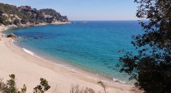 Santa Maria de Llorell beach