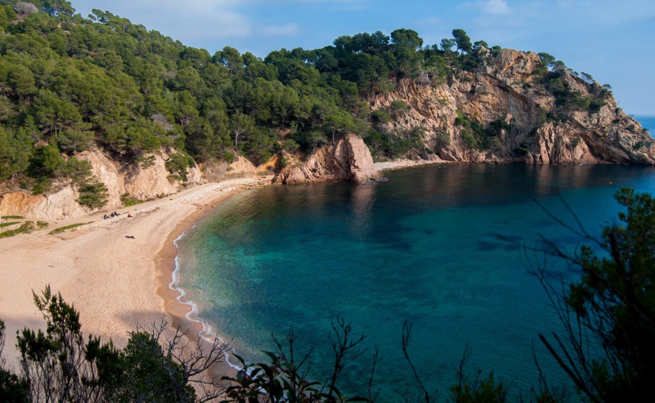 Photo of Cala Giverola beach with bright sand surface