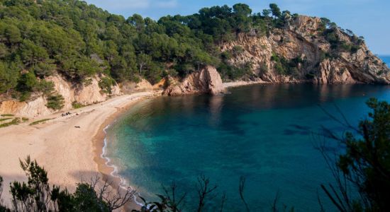 Cala Giverola beach