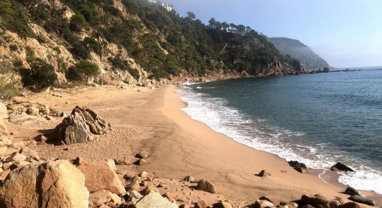 Cala Del Sr. Ramon beach