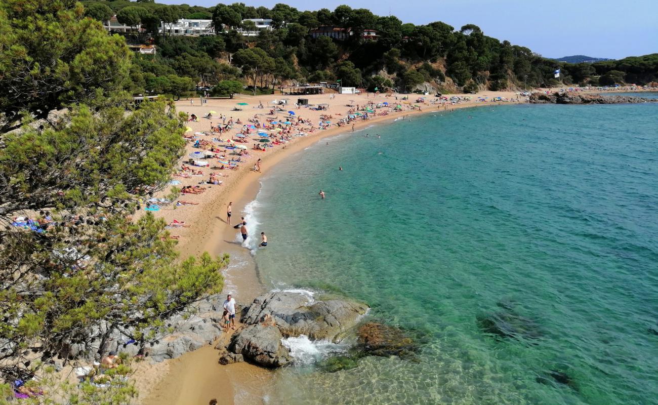 Photo of Cala Sa Conca beach with bright sand surface