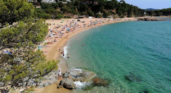 Cala Sa Conca beach