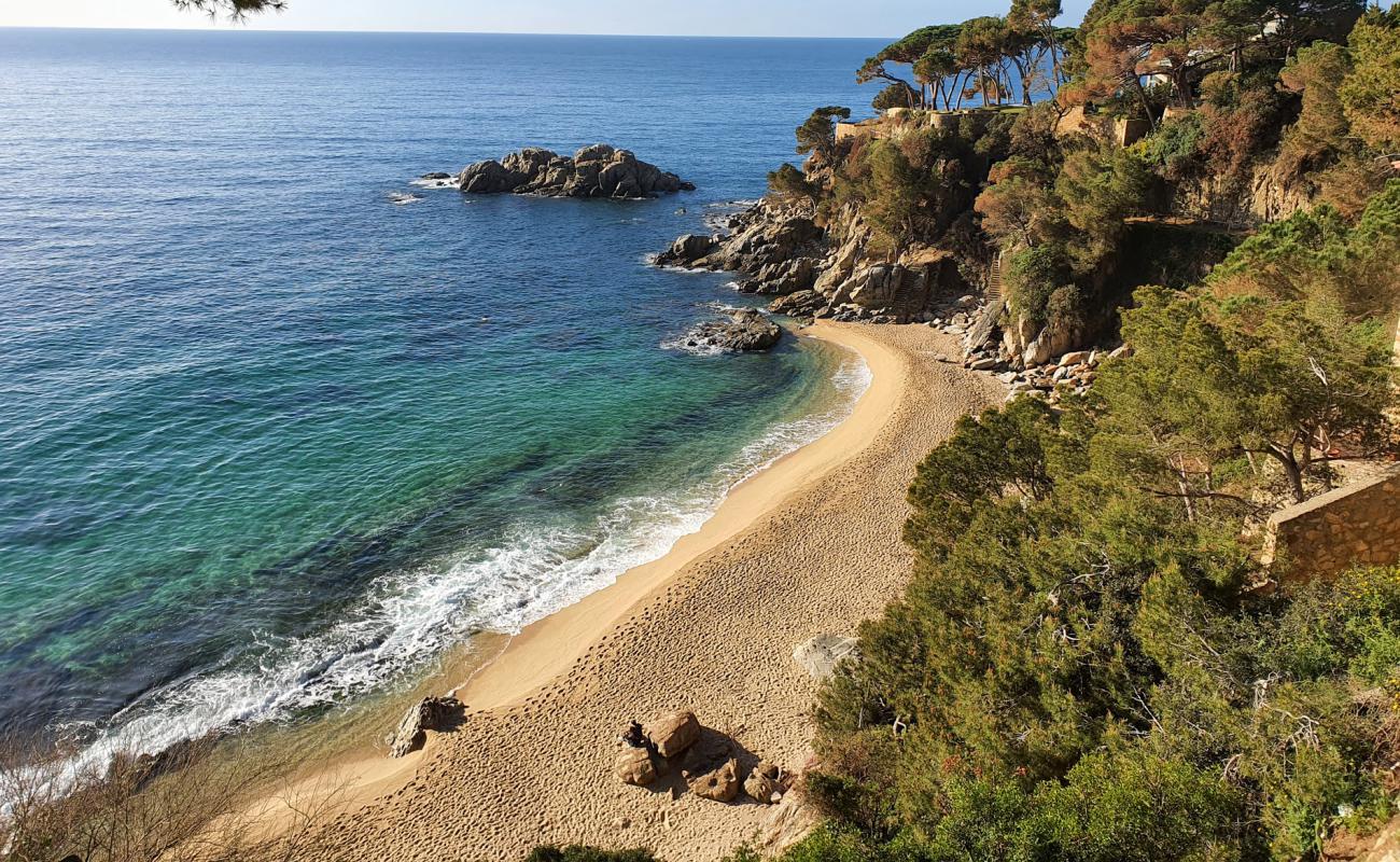 Photo of Cala Belladona with bright sand surface