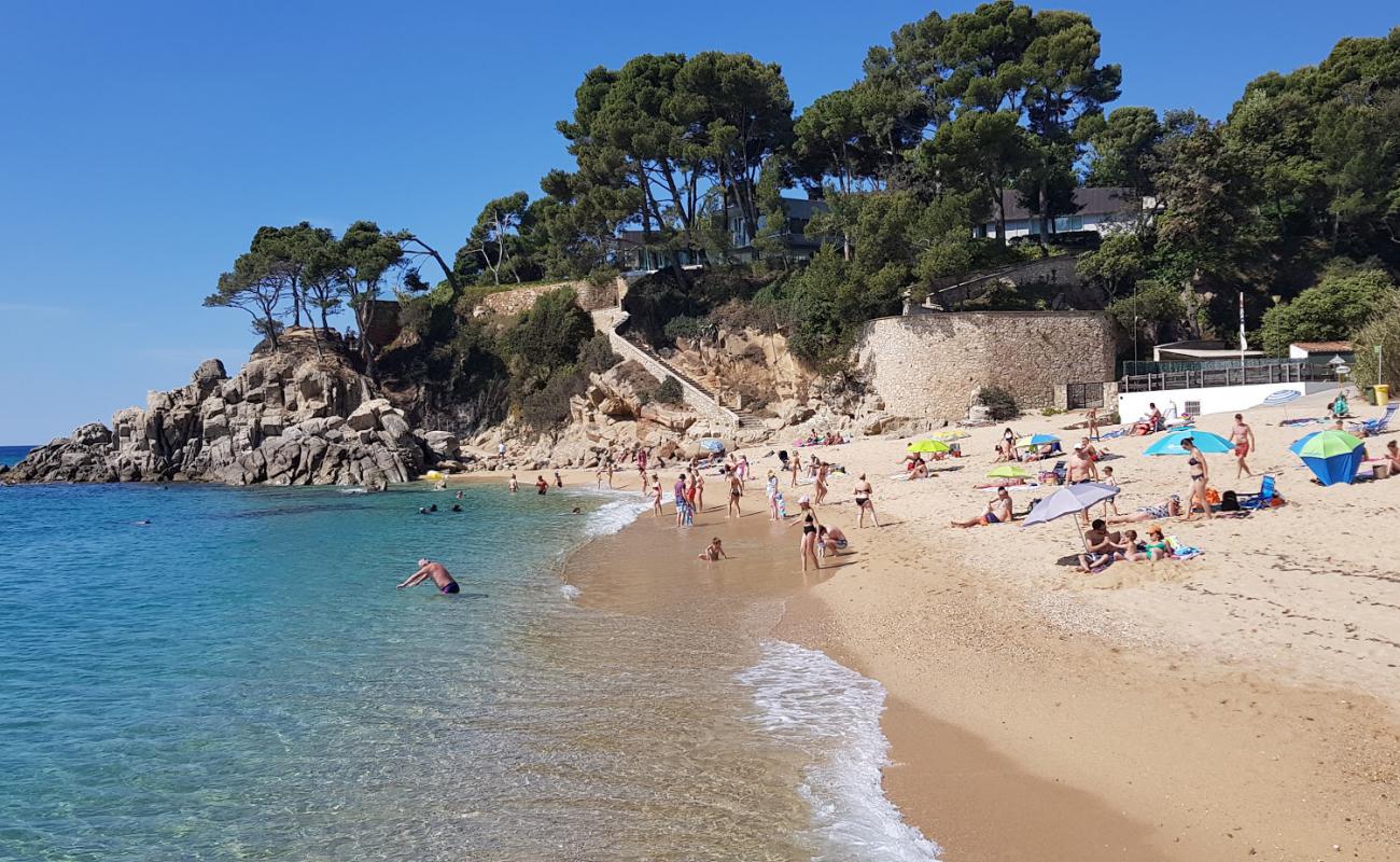 Photo of Cala Gogo Beach - popular place among relax connoisseurs