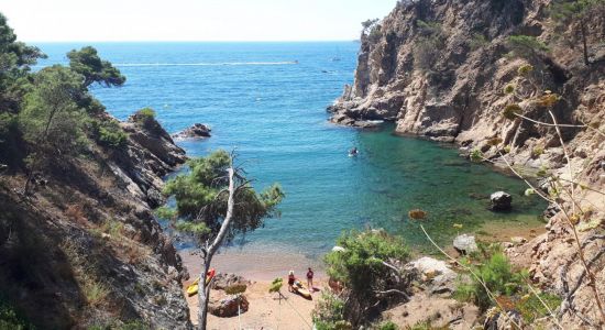 Cala Corbs