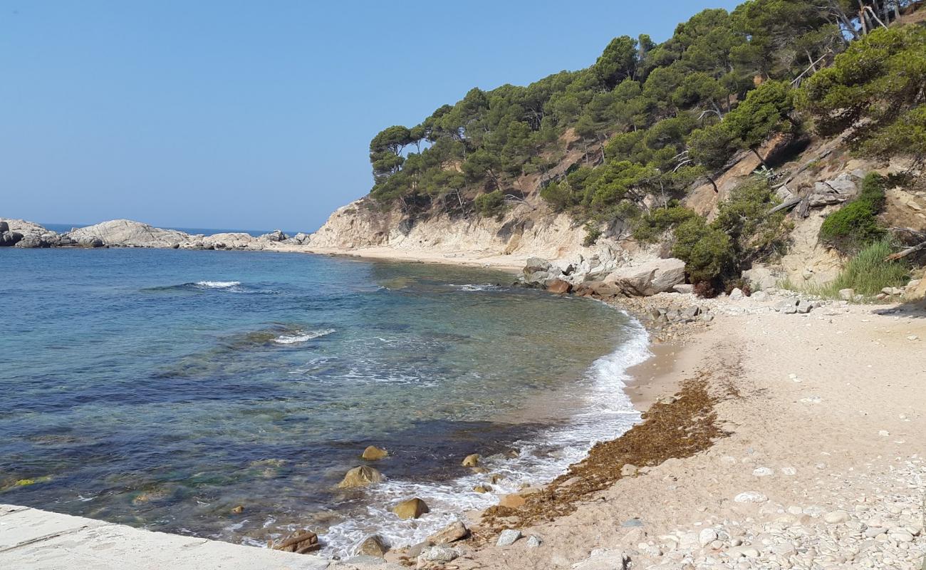 Photo of Cala Cap de Planes with bright sand & rocks surface