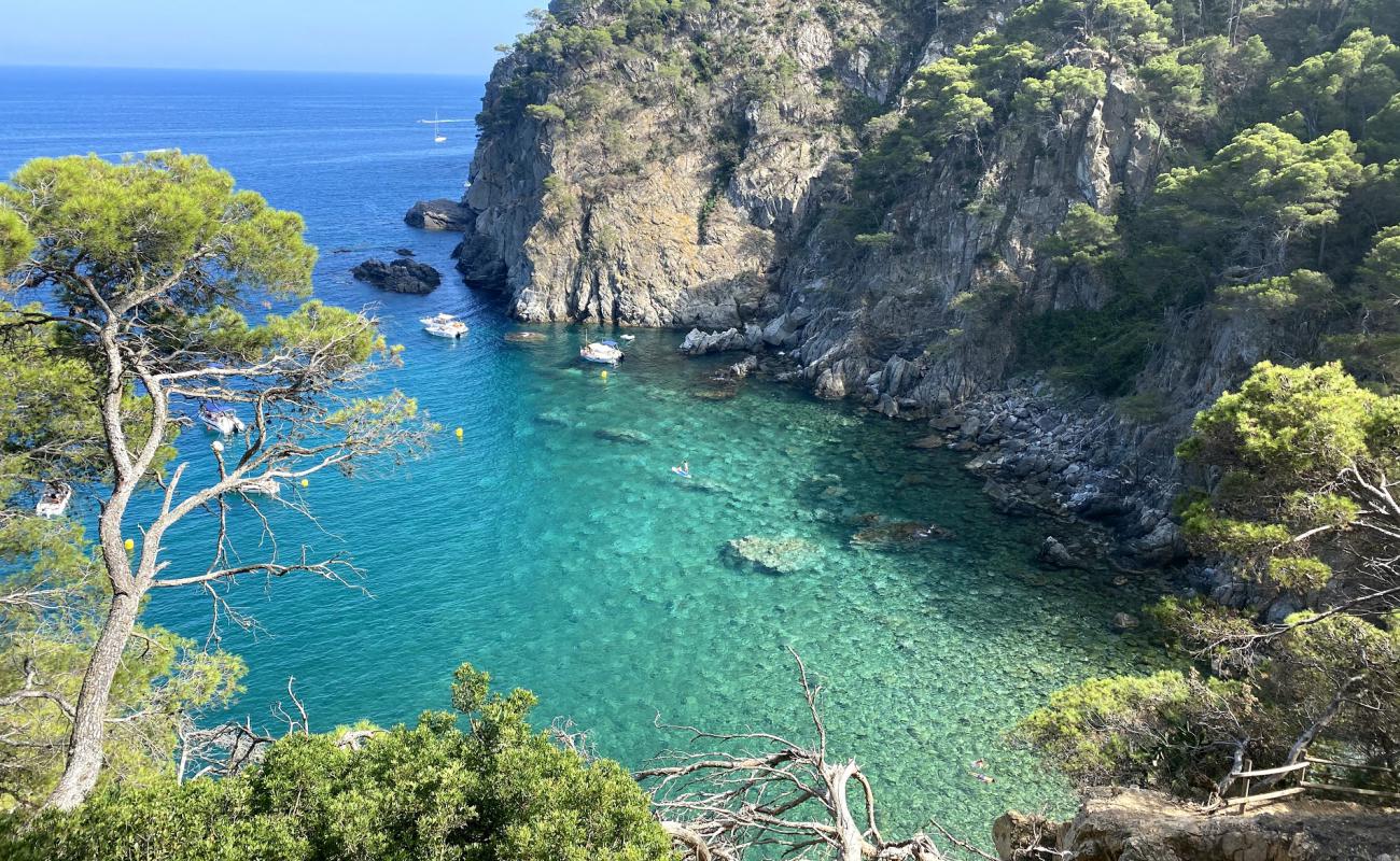 Photo of Cala Pedrosa with light pebble surface