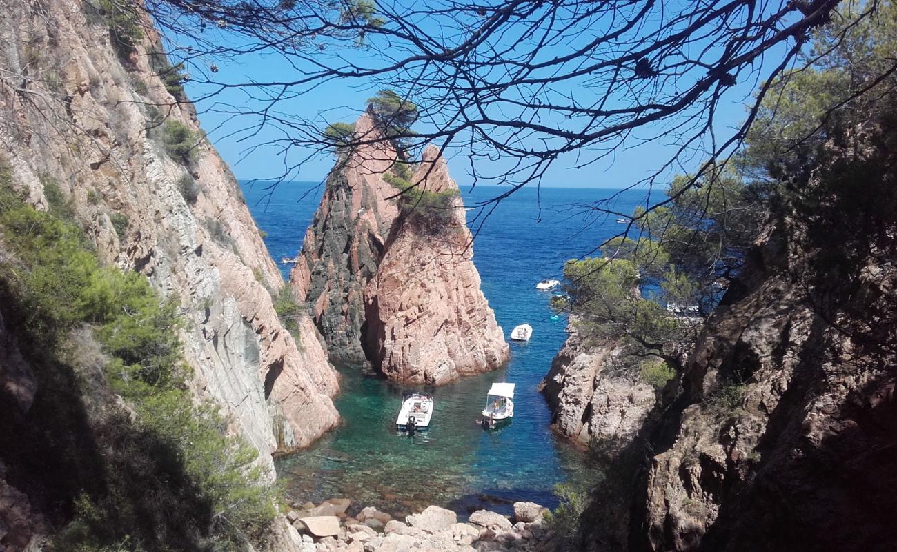 Photo of Cala Marquesa with bright sand & rocks surface