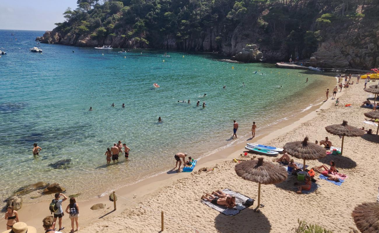 Photo of Aiguablava Beach with bright sand surface