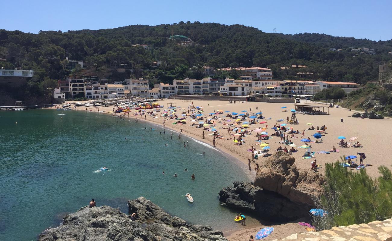 Photo of Platja de Sa Riera with bright sand surface