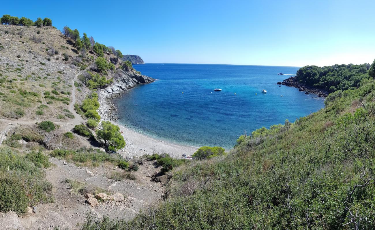 Photo of Platja Cala Murtra with brown sand &  rocks surface