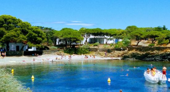 Platja d'en Pere Fet