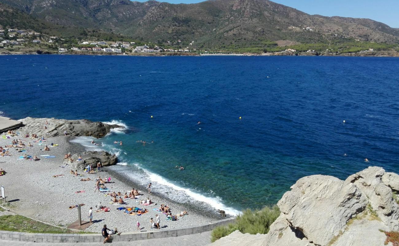 Photo of Platja del Pas with gray pebble surface