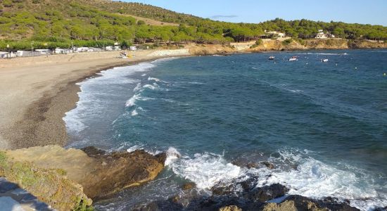 Platja del Port de la Vall