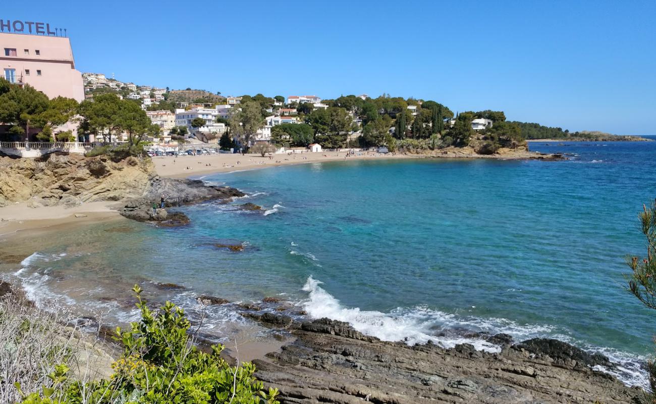 Photo of Platja de Grifeu with brown sand surface