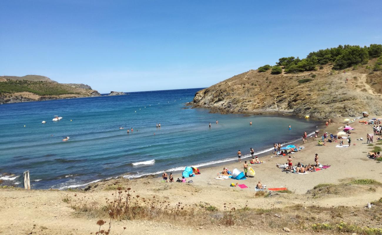 Photo of Platja del Borro with gray sand &  pebble surface