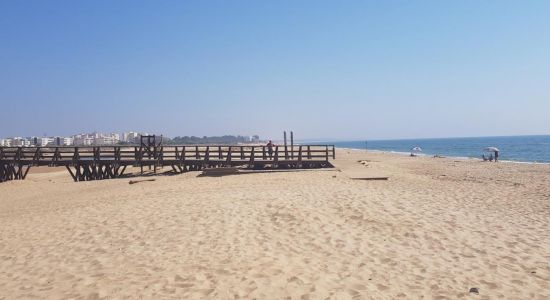 Playa de la Gaviota