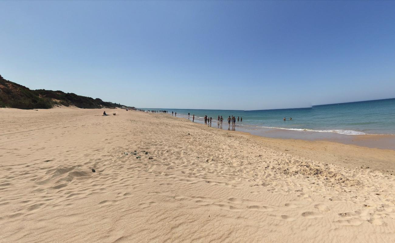 Photo of Puerco Beach located in natural area