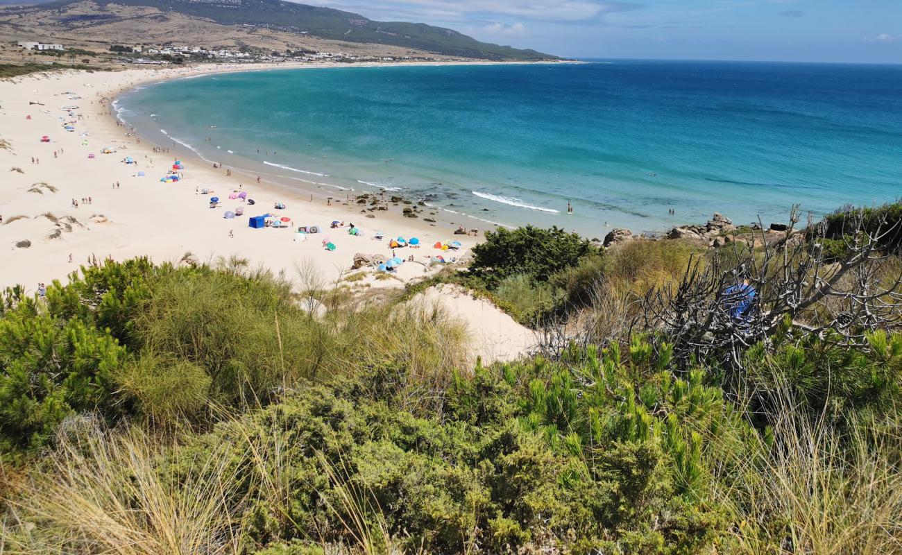 Photo of Bolonia beach with bright fine sand surface