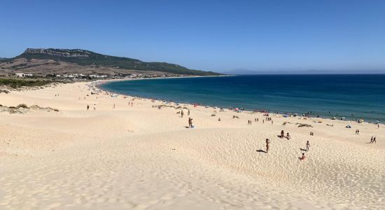 Bolonia beach