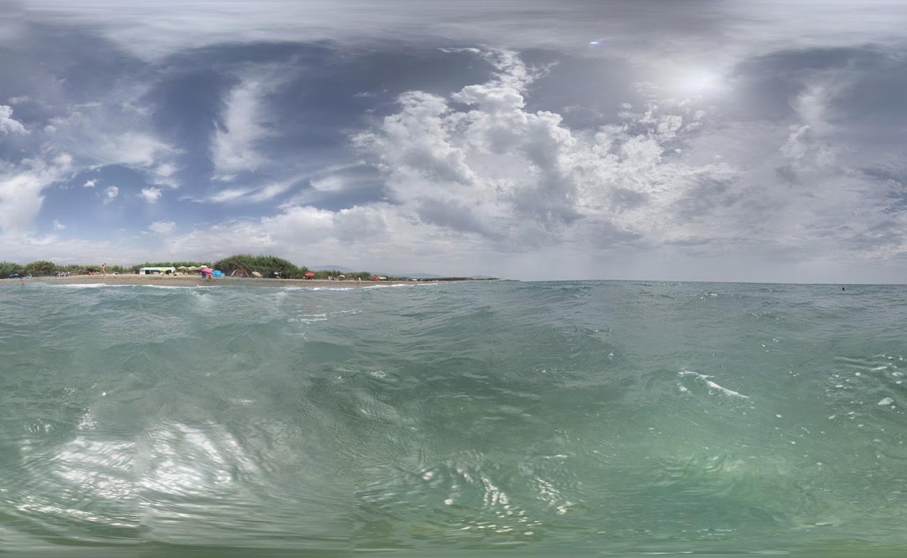 Photo of Playa Cabo Gilla with gray shell sand surface