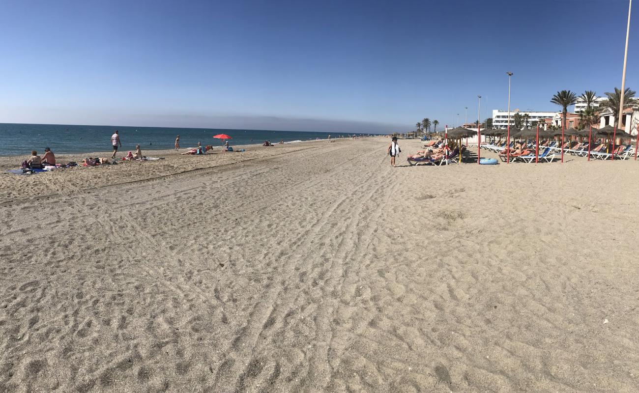 Photo of Serena Beach with gray shell sand surface