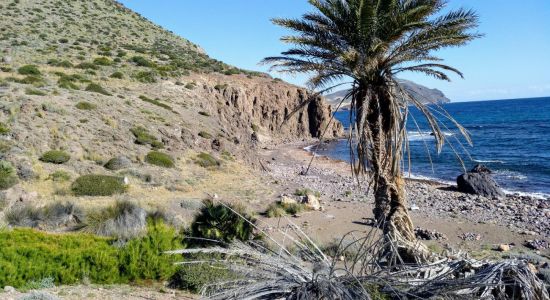 Cala de los Toros