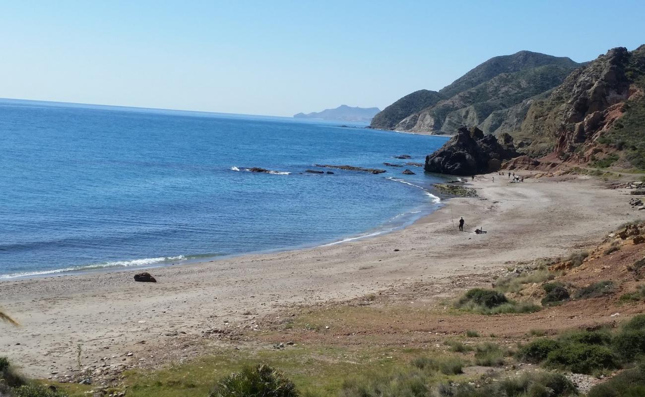 Photo of Playa del Sombrerico with black sand & pebble surface