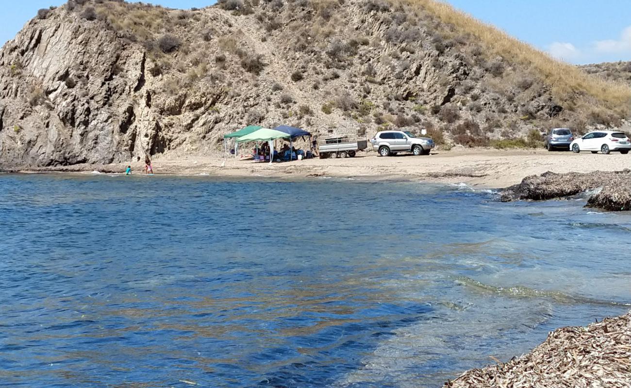 Photo of Cala del Pino with brown shell sand surface