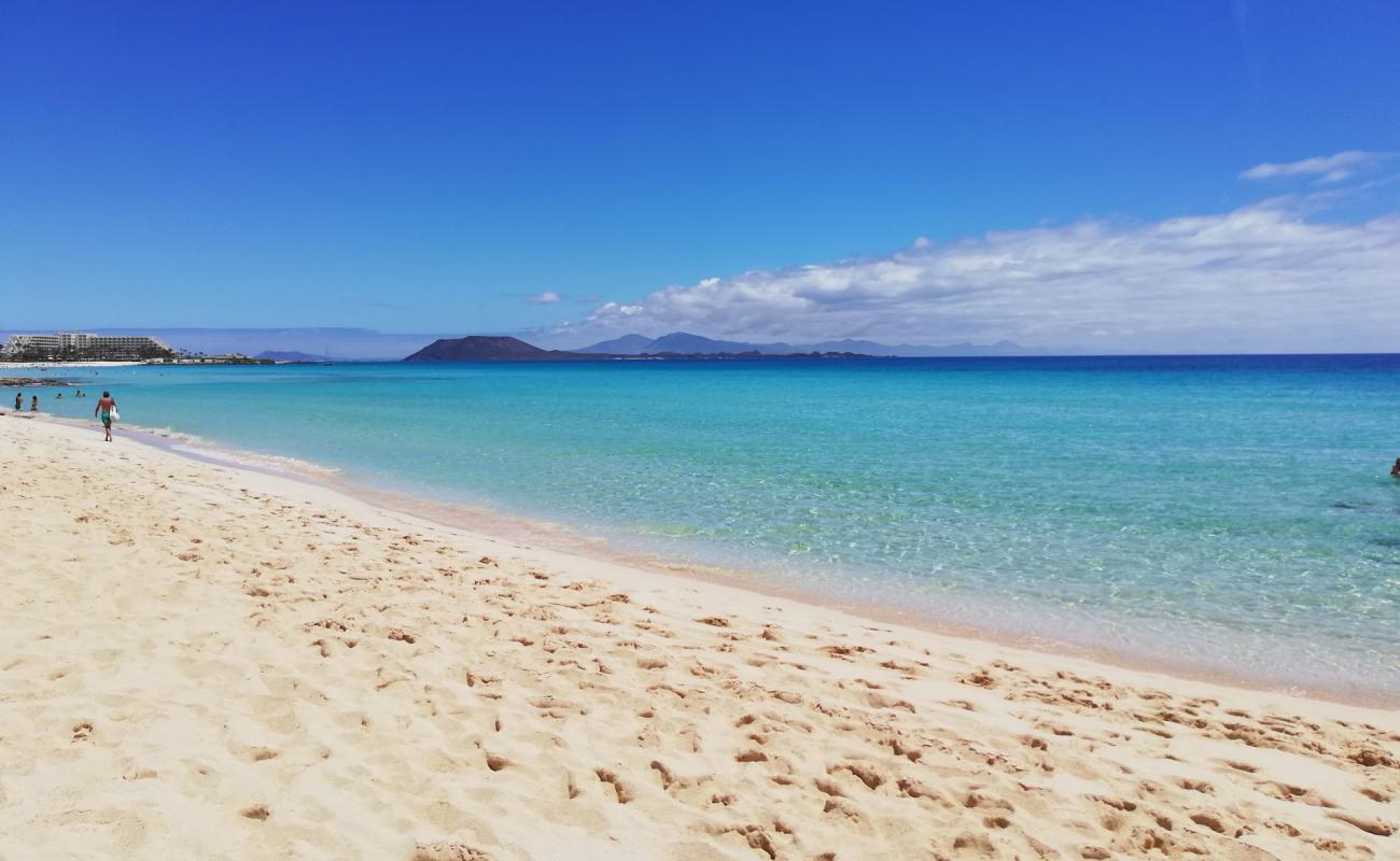 Photo of Playa Larga with bright fine sand surface