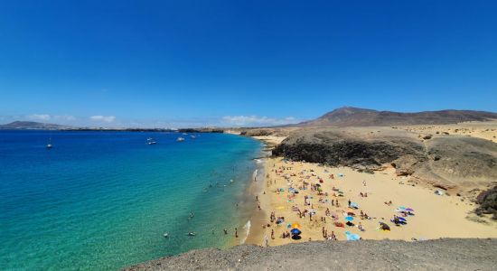 Playa Caleta del Congrio