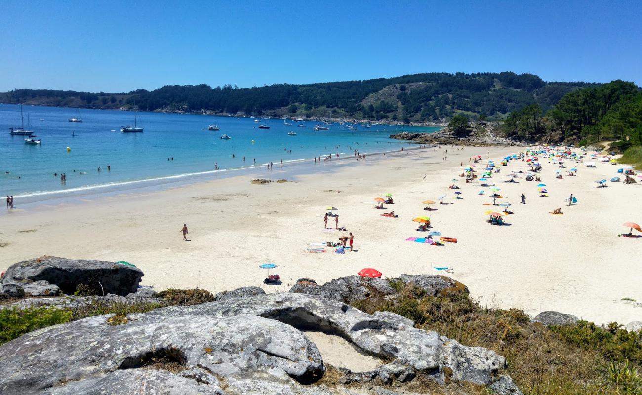 Photo of Playa de Vino with bright fine sand surface