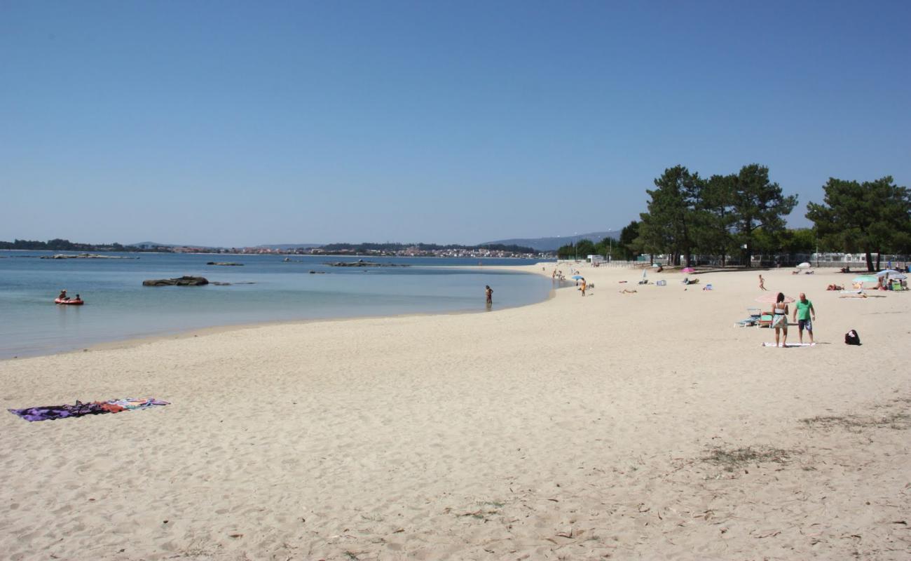 Photo of Terron beach with bright sand surface