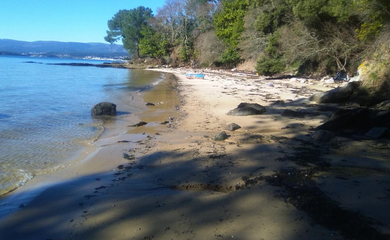 Photo of Trunk beach with bright sand surface