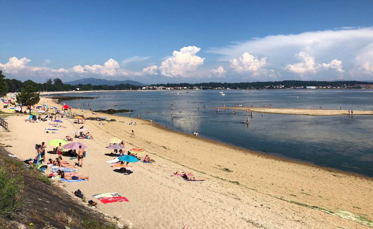 Photo of Garden beach with bright sand surface