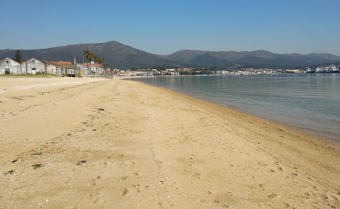 Photo of Areal beach with bright sand surface