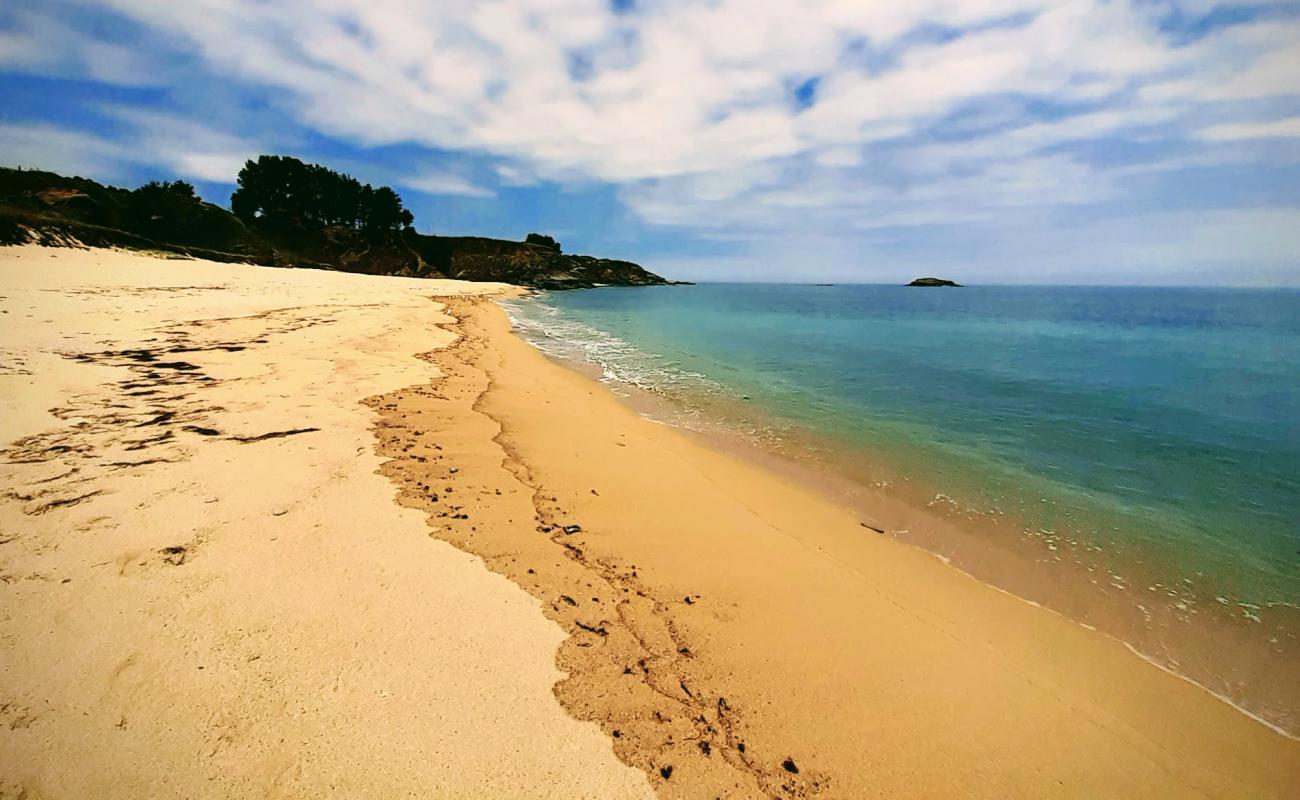 Photo of Praia Ama with bright sand surface