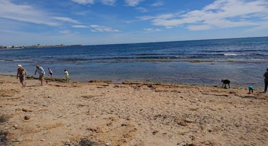 Playa Torrevieja