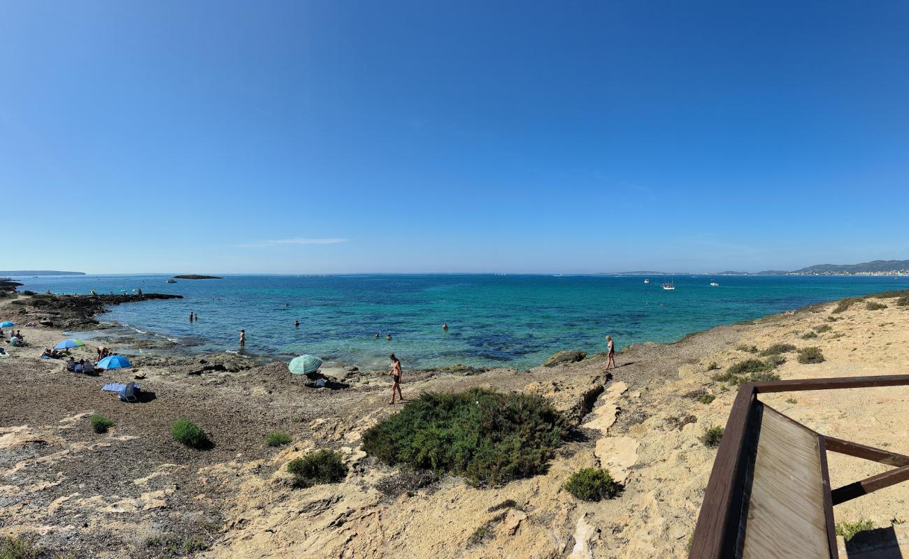 Photo of Playa de Son Caios with bright sand & rocks surface