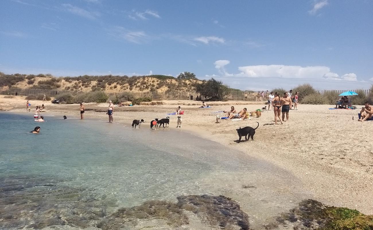 Photo of Platja Per a Cans with bright sand surface