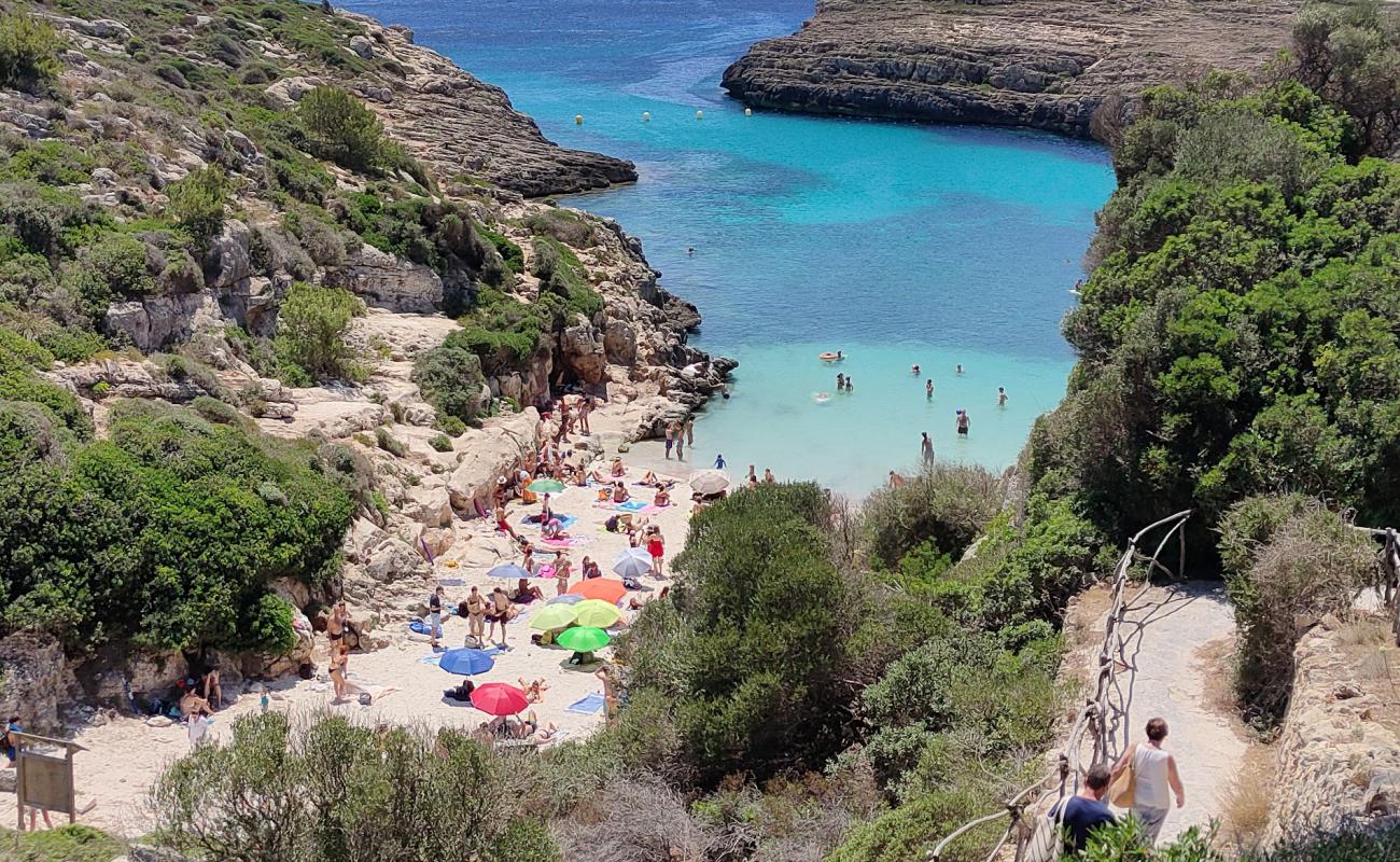 Photo of Cala Binidali with bright sand surface